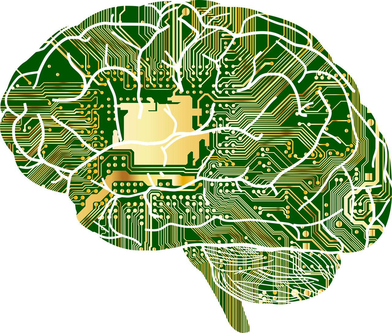 Image by Gordon Johnson from Pixabay Big data in healthcare